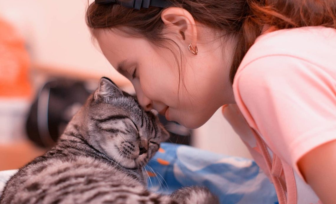 Top 14 Surprising Ways Your Cat Shows Affection